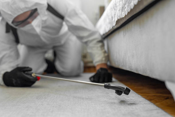 Professional Pest Control technician working in Glacier County County, MT